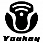 Wuhan youkey bio medical electronics логоти